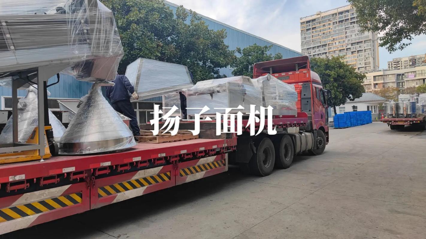 扬子面机为您提供工艺设计,产品制造,设备安装